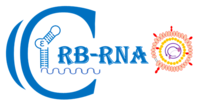 Logo CirB RNA
